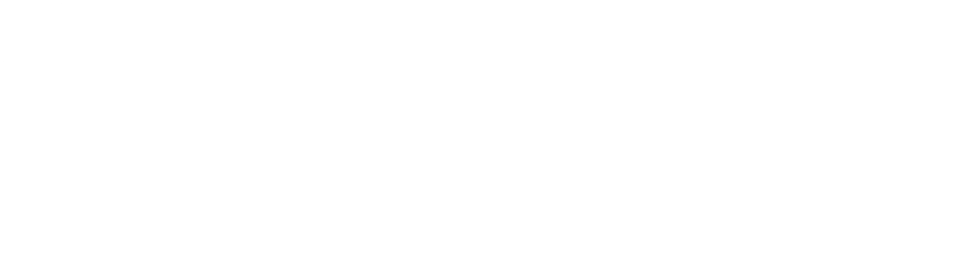 Xero Blue Partner